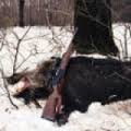 В «Бузулукском бору» задержали браконьера