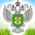100 случаев АЧС зарегистрировано на территории Самарской области с начала 2020 года